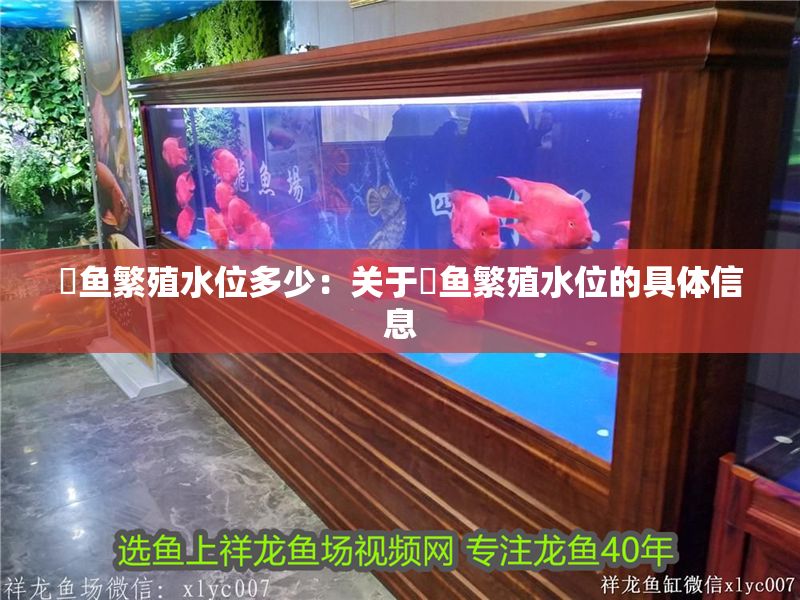 魟魚繁殖水位多少：關于魟魚繁殖水位的具體信息