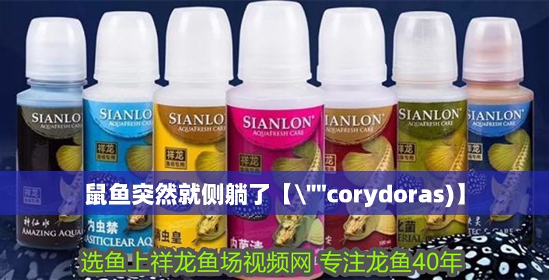 鼠魚突然就側(cè)躺了【 鼠魚突然就側(cè)躺了【\