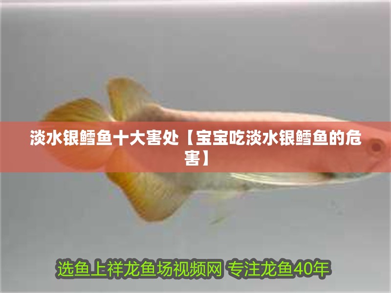 淡水銀鱈魚十大害處【寶寶吃淡水銀鱈魚的危害】