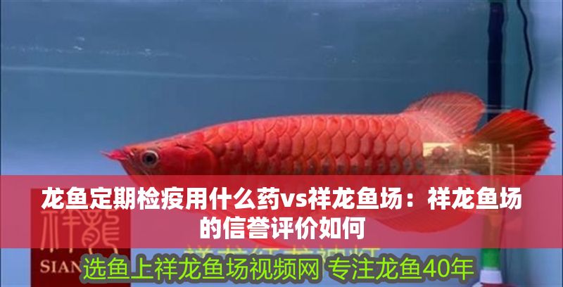 龍魚定期檢疫用什么藥vs祥龍魚場：祥龍魚場的信譽評價如何