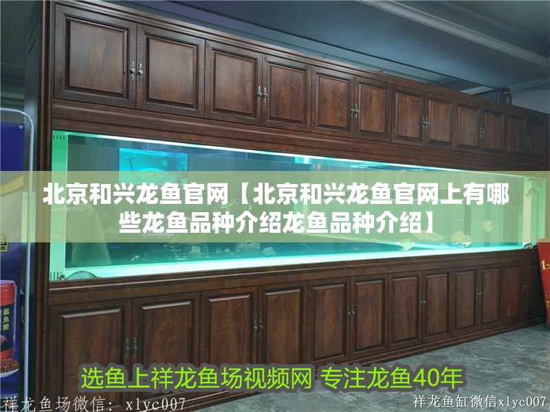 北京和興龍魚(yú)官網(wǎng)【北京和興龍魚(yú)官網(wǎng)上有哪些龍魚(yú)品種介紹龍魚(yú)品種介紹】