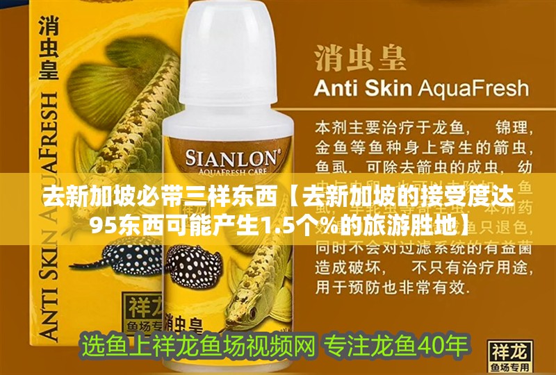 去新加坡必帶三樣東西【去新加坡的接受度達95東西可能產生1.5個%的旅游勝地】