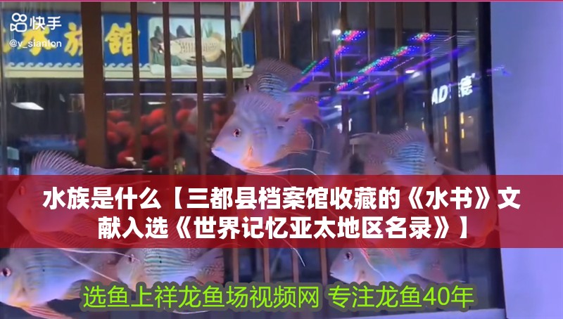 水族是什么【三都縣檔案館收藏的《水書》文獻入選《世界記憶亞太地區名錄》】