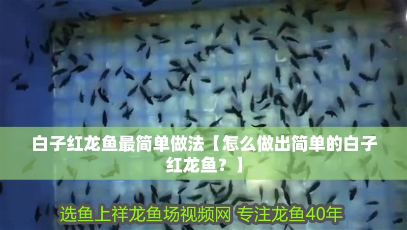 白子紅龍魚最簡單做法【怎么做出簡單的白子紅龍魚？】