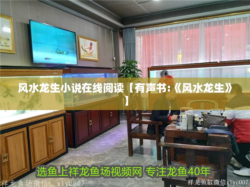 風水龍生小說在線閱讀【有聲書:《風水龍生》】