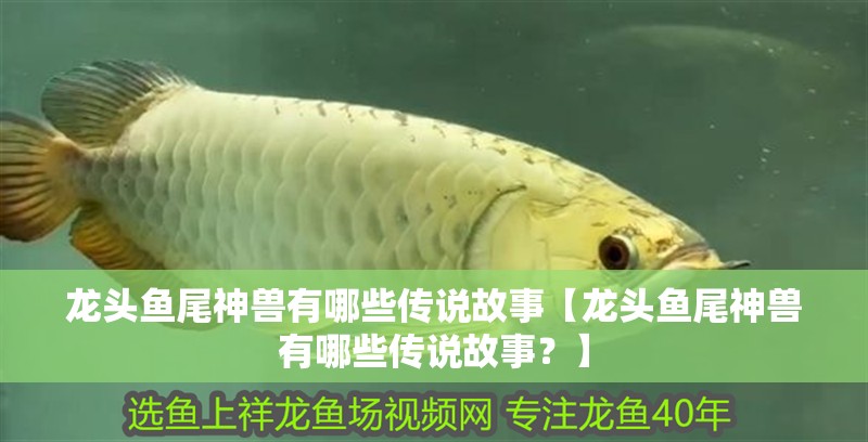 龍頭魚尾神獸有哪些傳說故事【龍頭魚尾神獸有哪些傳說故事？】