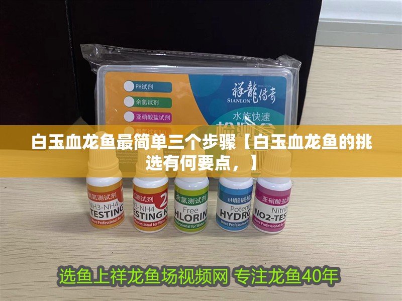 白玉血龍魚最簡單三個步驟【白玉血龍魚的挑選有何要點，】