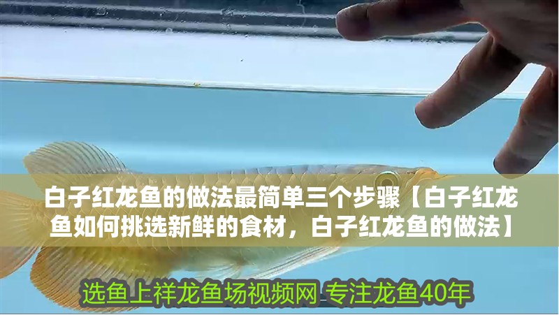 白子紅龍魚的做法最簡單三個步驟【白子紅龍魚如何挑選新鮮的食材，白子紅龍魚的做法】 白子紅龍魚的做法最簡單三個步驟【白子紅龍魚如何挑選新鮮的食材，白子紅龍魚的做法】 水族問答
