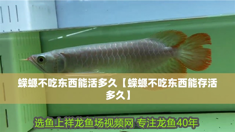 蠑螈不吃東西能活多久【蠑螈不吃東西能存活多久】