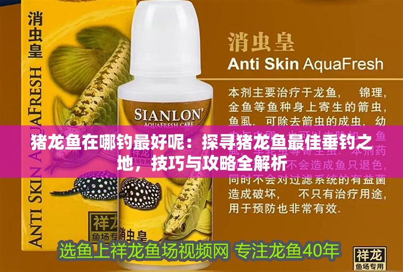 豬龍魚在哪釣最好呢：探尋豬龍魚最佳垂釣之地，技巧與攻略全解析