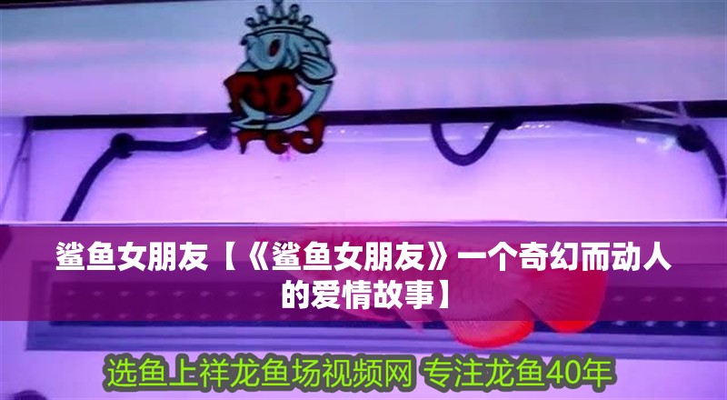 鯊魚女朋友【《鯊魚女朋友》一個(gè)奇幻而動(dòng)人的愛情故事】