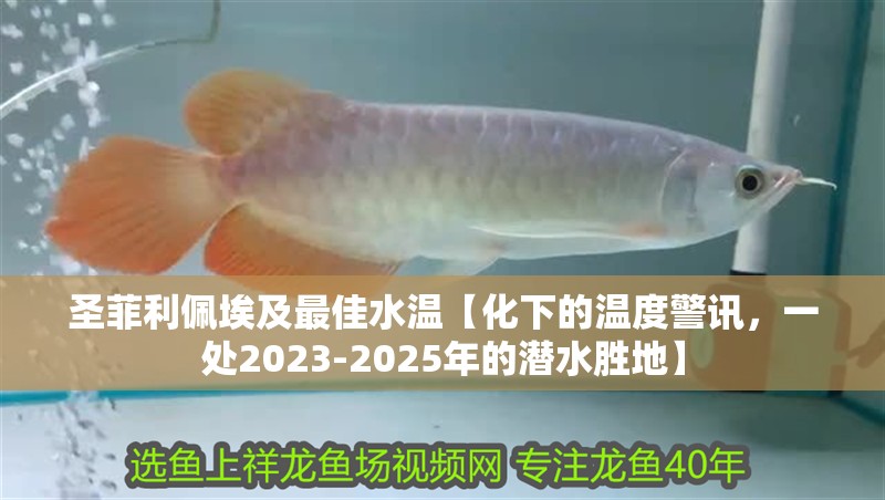 圣菲利佩埃及最佳水溫【化下的溫度警訊，一處2023-2025年的潛水勝地】