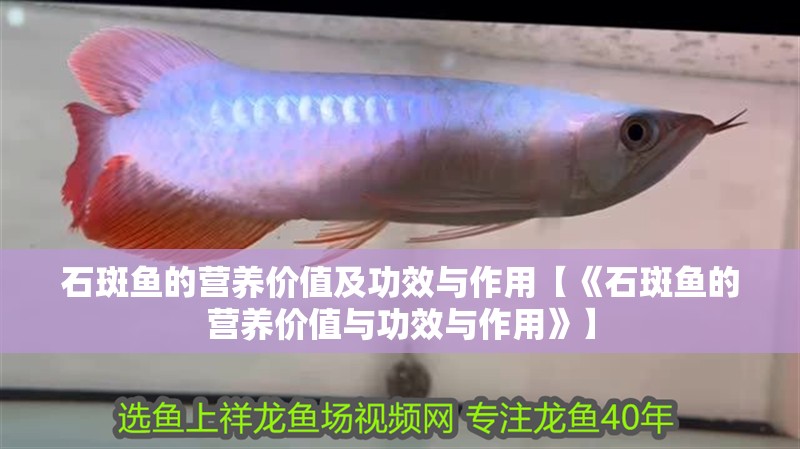 石斑魚的營(yíng)養(yǎng)價(jià)值及功效與作用【《石斑魚的營(yíng)養(yǎng)價(jià)值與功效與作用》】