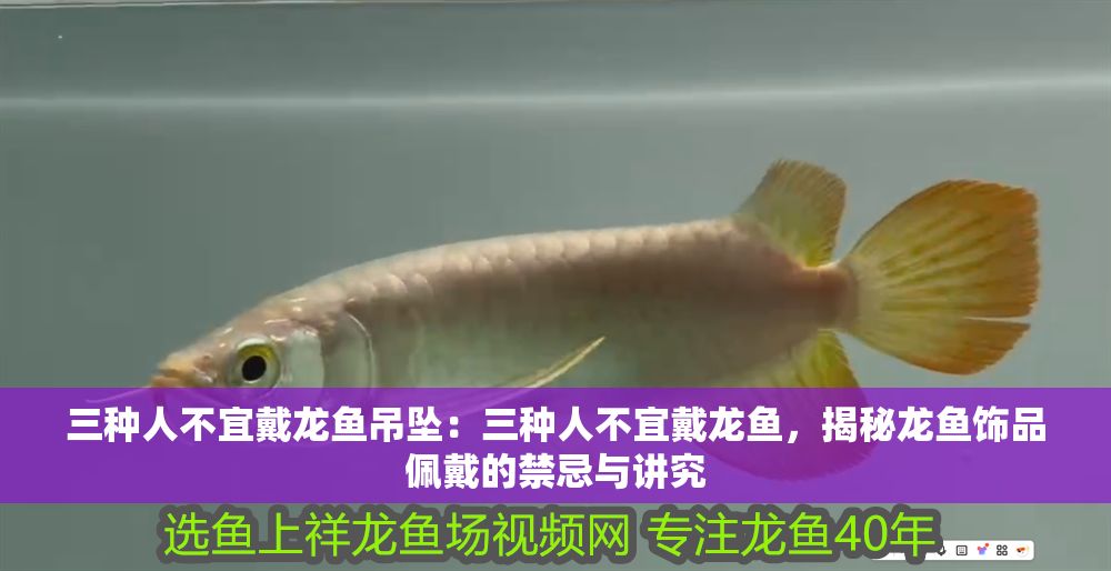 三種人不宜戴龍魚吊墜：三種人不宜戴龍魚，揭秘龍魚飾品佩戴的禁忌與講究