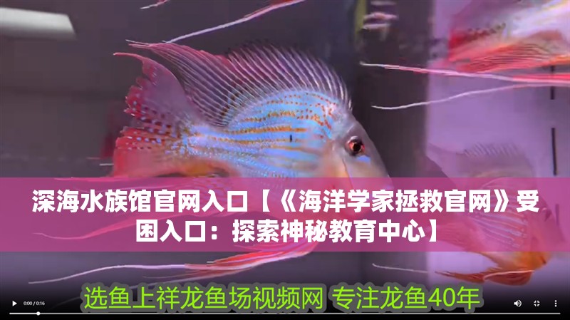 深海水族館官網入口【《海洋學家拯救官網》受困入口：探索神秘教育中心】 深海水族館官網入口【《海洋學家拯救官網》受困入口：探索神秘教育中心】 龍魚論壇