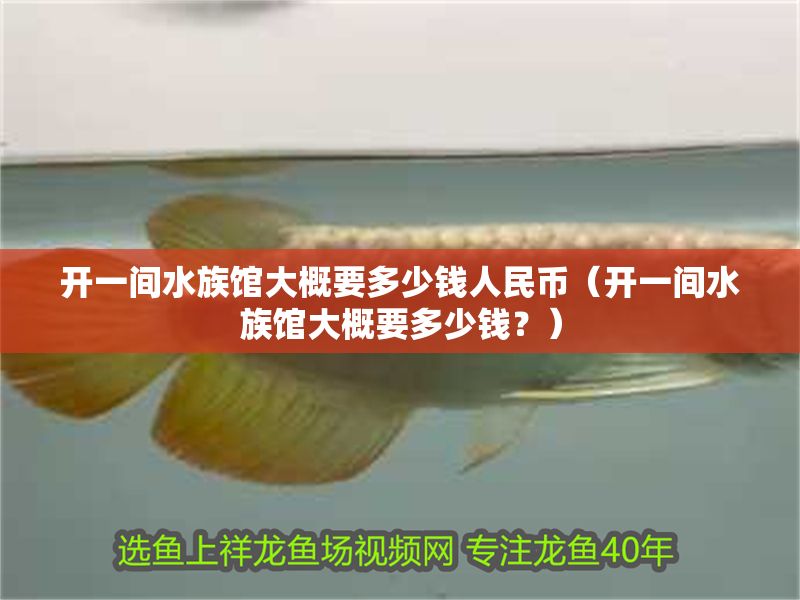 開一間水族館大概要多少錢人民幣（開一間水族館大概要多少錢？） 開一間水族館大概要多少錢人民幣（開一間水族館大概要多少錢？） 水族館百科（水族館加盟） 第1張