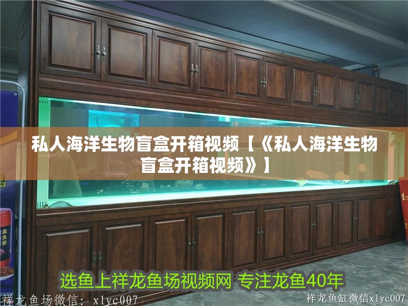 私人海洋生物盲盒開箱視頻【《私人海洋生物盲盒開箱視頻》】