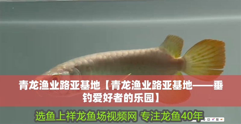 青龍漁業路亞基地【青龍漁業路亞基地——垂釣愛好者的樂園】