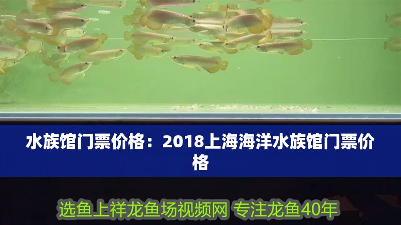 水族館門票價格：2018上海海洋水族館門票價格