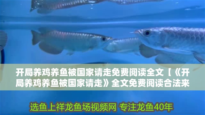開局養(yǎng)雞養(yǎng)魚被國家請走免費閱讀全文【《開局養(yǎng)雞養(yǎng)魚被國家請走》全文免費閱讀合法來源】