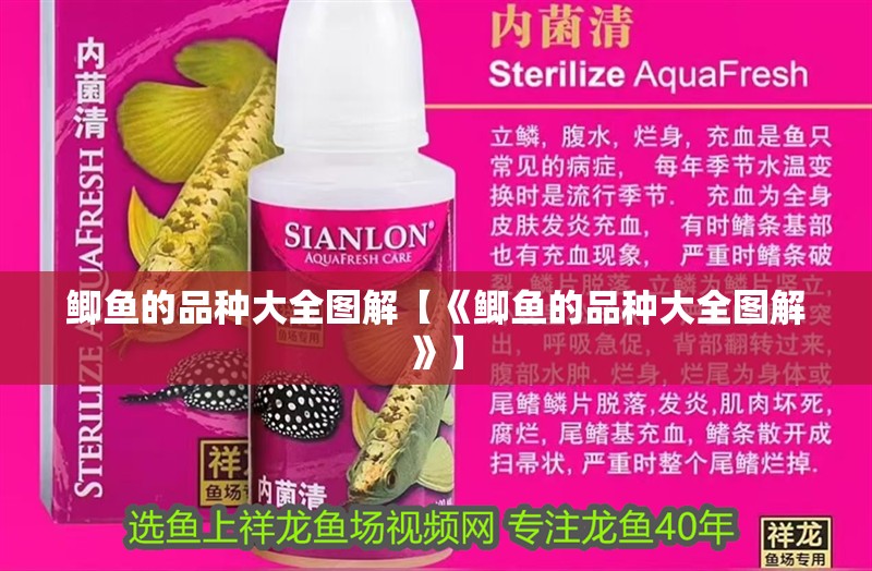 鯽魚的品種大全圖解【《鯽魚的品種大全圖解》】