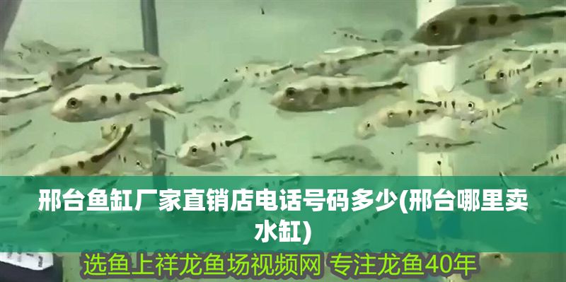 邢臺魚缸廠家直銷店電話號碼多少(邢臺哪里賣水缸)