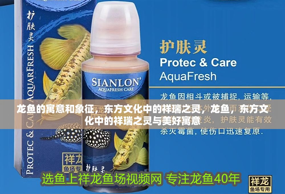 龍魚的寓意和象征，東方文化中的祥瑞之靈，龍魚，東方文化中的祥瑞之靈與美好寓意