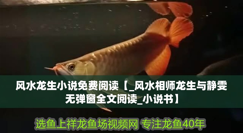 風水龍生小說免費閱讀【_風水相師龍生與靜雯無彈窗全文閱讀_小說書】