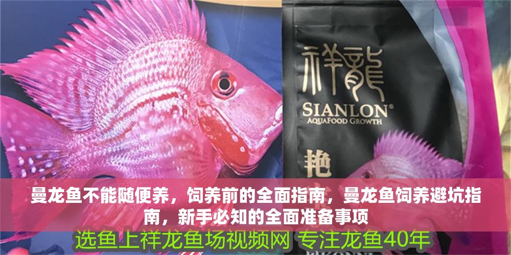 曼龍魚不能隨便養，飼養前的全面指南，曼龍魚飼養避坑指南，新手必知的全面準備事項