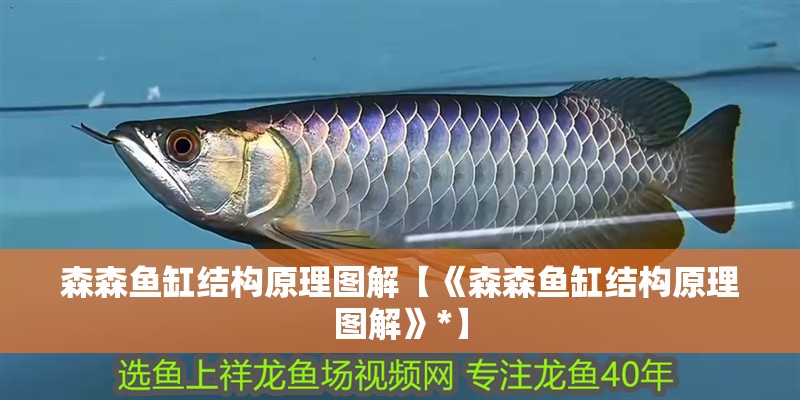森森魚缸結構原理圖解【《森森魚缸結構原理圖解》*】 森森魚缸結構原理圖解【《森森魚缸結構原理圖解》*】 龍魚論壇