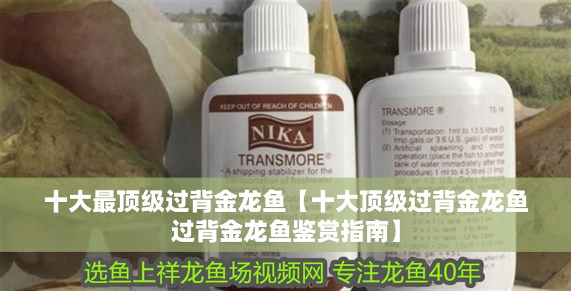 十大最頂級過背金龍魚【十大頂級過背金龍魚過背金龍魚鑒賞指南】