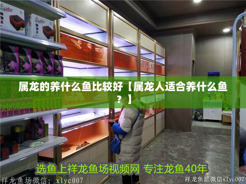 屬龍的養(yǎng)什么魚(yú)比較好【屬龍人適合養(yǎng)什么魚(yú)？】