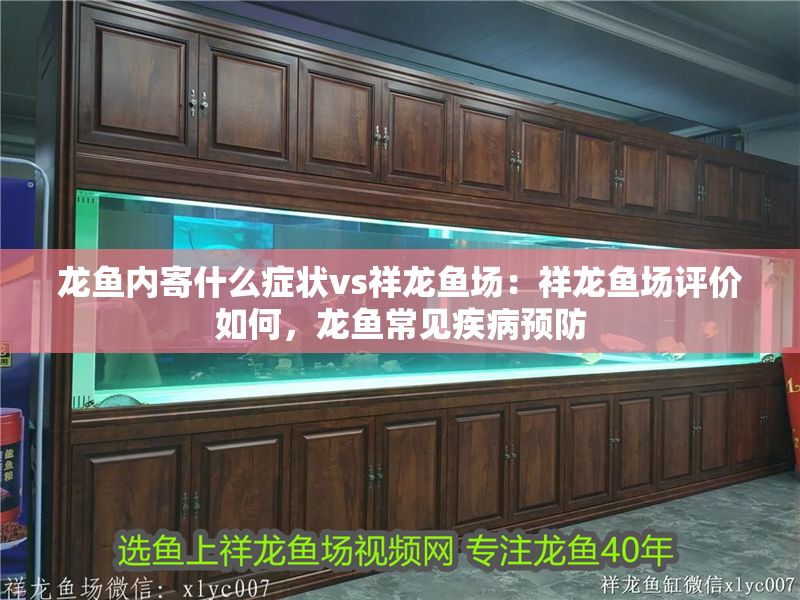 龍魚內(nèi)寄什么癥狀vs祥龍魚場：祥龍魚場評價如何，龍魚常見疾病預(yù)防