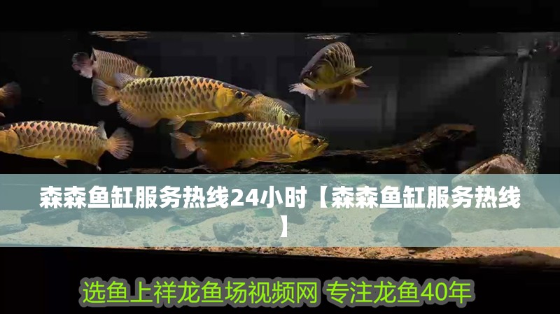 龍魚干蝦有營養(yǎng)嗎 森森魚缸服務(wù)熱線24小時【森森魚缸服務(wù)熱線】 龍魚論壇 森森魚缸服務(wù)熱線24小時【森森魚缸服務(wù)熱線】 森森魚缸服務(wù)熱線24小時【森森魚缸服務(wù)熱線】 龍魚論壇