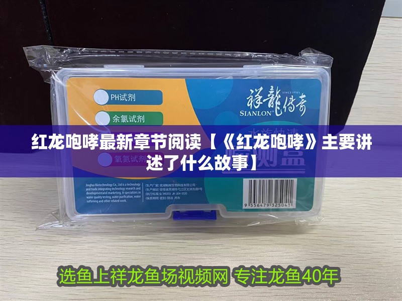 紅龍咆哮最新章節閱讀【《紅龍咆哮》主要講述了什么故事】