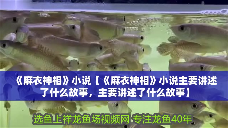 《麻衣神相》小說【《麻衣神相》小說主要講述了什么故事，主要講述了什么故事】