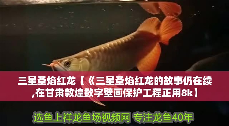 三星圣焰紅龍【《三星圣焰紅龍的故事仍在續,在甘肅敦煌數字壁畫保護工程正用8k】