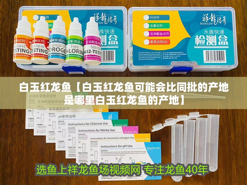 白玉紅龍魚【白玉紅龍魚可能會比同批的產地是哪里白玉紅龍魚的產地】