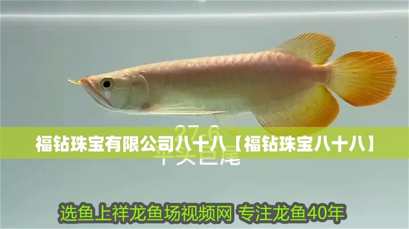 福鉆珠寶有限公司八十八【福鉆珠寶八十八】