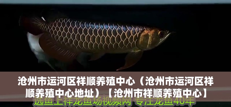 滄州市運(yùn)河區(qū)祥順養(yǎng)殖中心（滄州市運(yùn)河區(qū)祥順養(yǎng)殖中心地址）【滄州市祥順養(yǎng)殖中心】