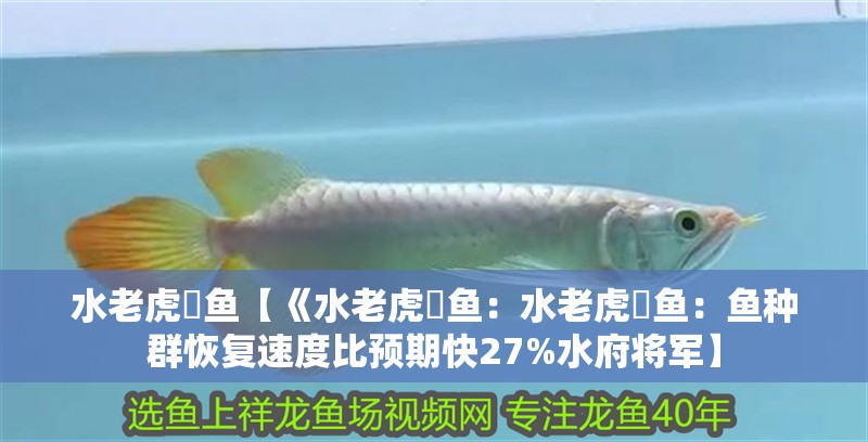 水老虎鳡魚【《水老虎鳡魚：水老虎鳡魚：魚種群恢復速度比預期快27%水府將軍】