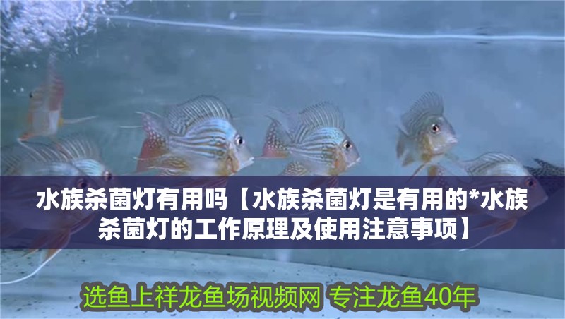 水族殺菌燈有用嗎【水族殺菌燈是有用的*水族殺菌燈的工作原理及使用注意事項】