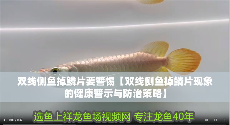 雙線側魚掉鱗片要警惕【雙線側魚掉鱗片現象的健康警示與防治策略】