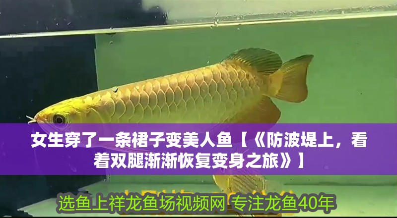 女生穿了一條裙子變美人魚【《防波堤上，看著雙腿漸漸恢復變身之旅》】