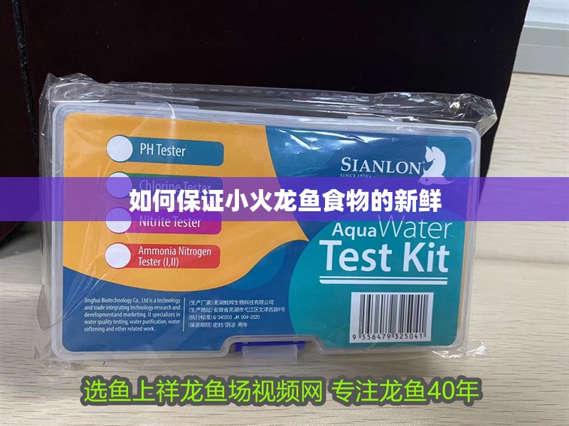如何保證小火龍魚食物的新鮮