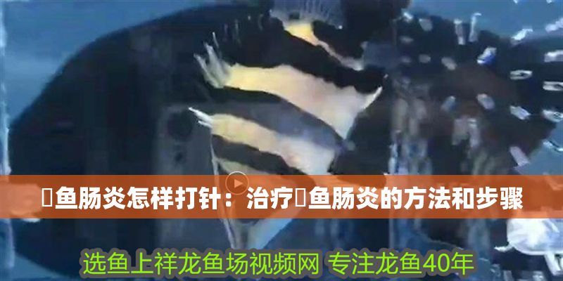 魟魚腸炎怎樣打針：治療魟魚腸炎的方法和步驟