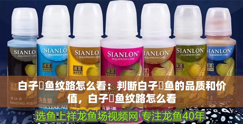 白子魟魚紋路怎么看:判斷白子魟魚的品質(zhì)和價值,白子魟魚紋路怎么看 魟魚百科 第2張 白子魟魚紋路怎么看:判斷白子魟魚的品質(zhì)和價值,白子魟魚紋路怎么看 白子魟魚紋路怎么看:判斷白子魟魚的品質(zhì)和價值,白子魟魚紋路怎么看 魟魚百科 第2張