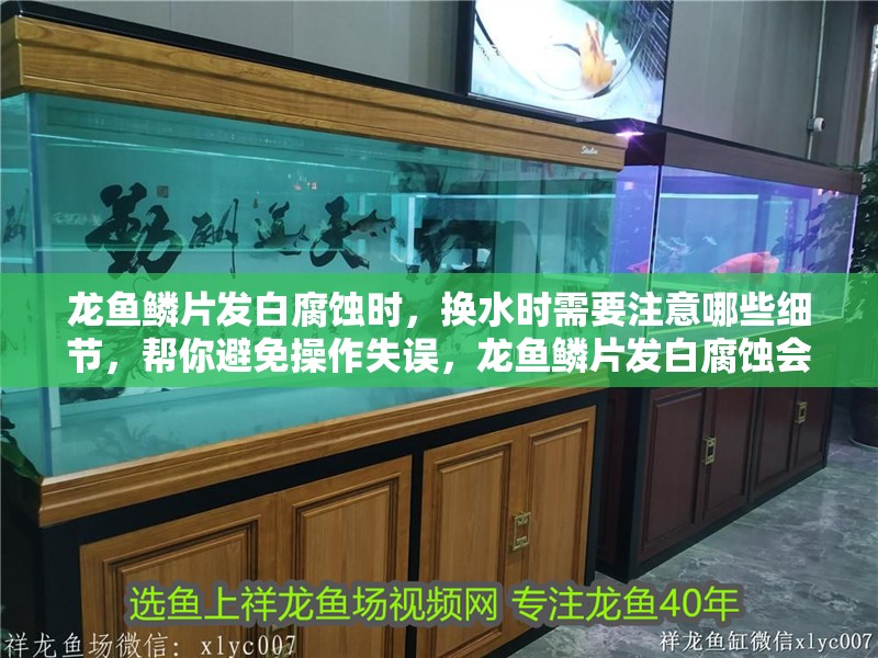 龍魚鱗片發白腐蝕時，換水時需要注意哪些細節，幫你避免操作失誤，龍魚鱗片發白腐蝕會自愈嗎