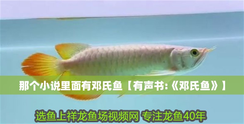 那個小說里面有鄧氏魚【有聲書:《鄧氏魚》】 那個小說里面有鄧氏魚【有聲書:《鄧氏魚》】 龍魚論壇