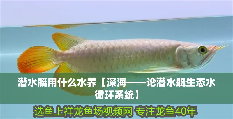 潛水艇用什么水養【深海——論潛水艇生態水循環系統】